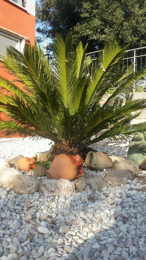 B&B La Mita Giuliano di Roma ภายนอก รูปภาพ
